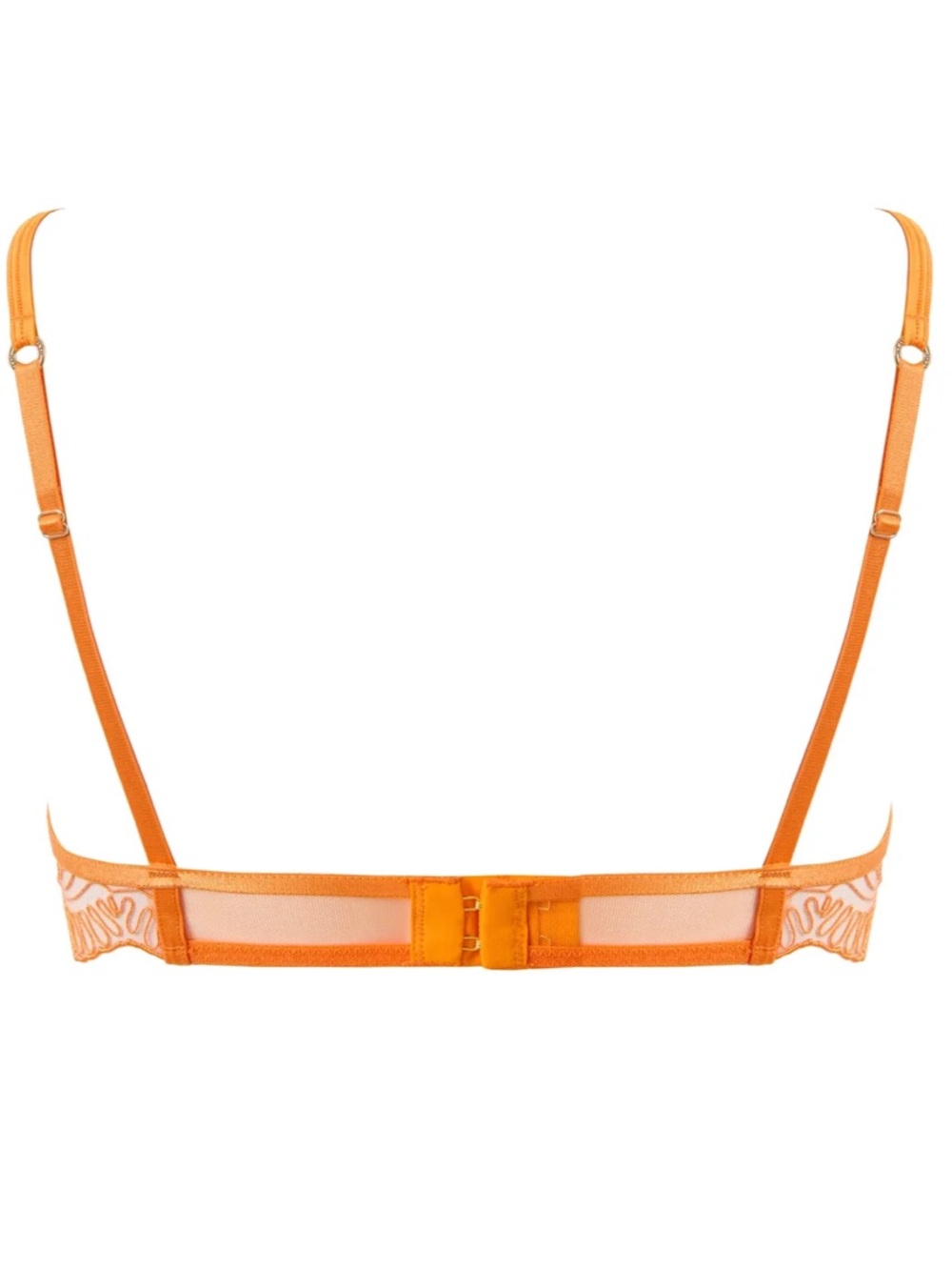 Bluebella Set! Leliana Embroidered Plunge Bra + Thong in Orange Peel - Picture 6 of 10